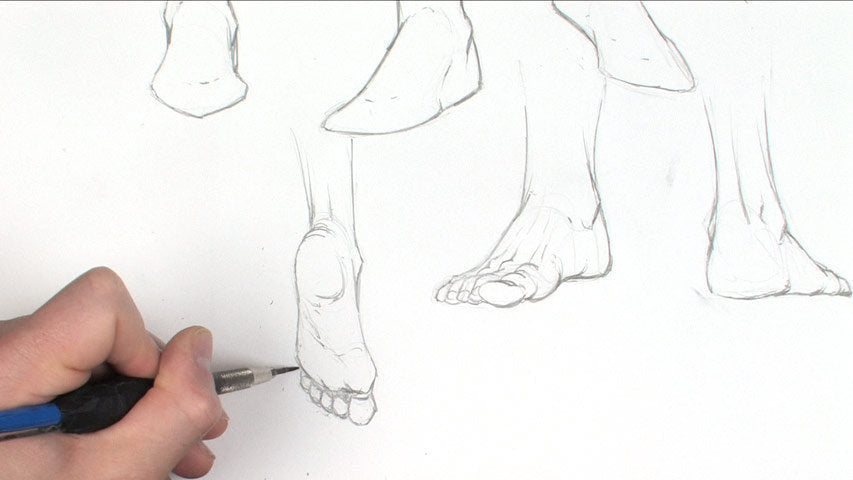 CG Channel Store - Dynamic Figure Drawing: Hands and Feet with