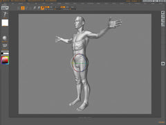 Digital Sculpting: The Human Anatomy - Zack Petroc