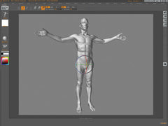 Digital Sculpting: The Human Anatomy - Zack Petroc