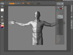 Digital Sculpting: The Human Anatomy - Zack Petroc